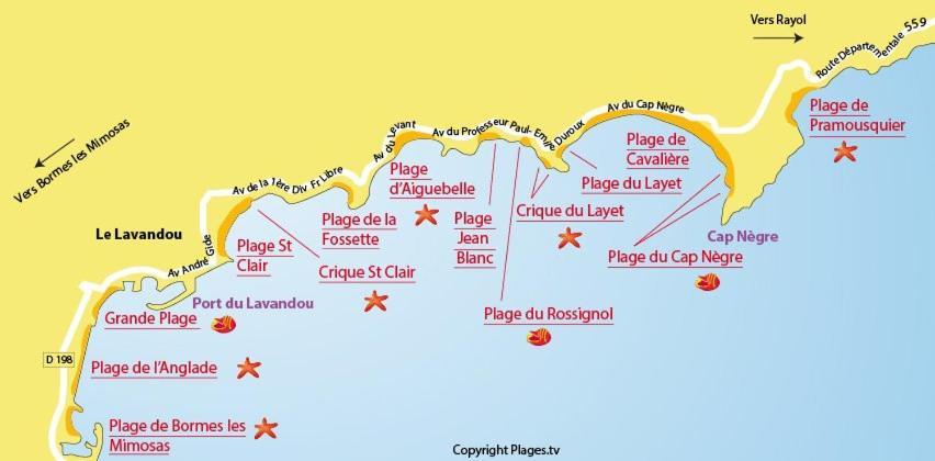 Mazet De La Mer 54M2 Lavandou 100M Plage Avec Piscine Le Lavandou Dış mekan fotoğraf